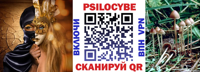 Псилоцибиновые грибы мицелий  Южа 